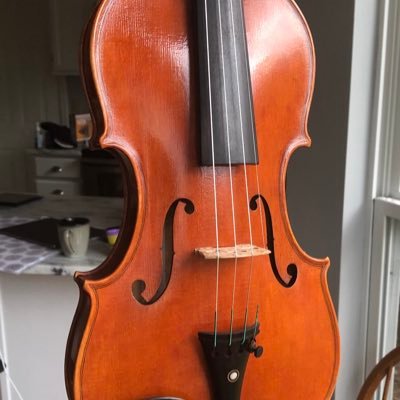 IvryGitlis's profile picture. 