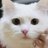 Neck_jj's profile image