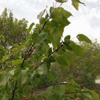 vatansever arkadaş (@vatanseverarka1) 's Twitter Profile