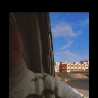 Fedaa☆ (@fedaa_tarek) 's Twitter Profile
