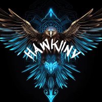NoMeterHawk (@tpxtched) 's Twitter Profile