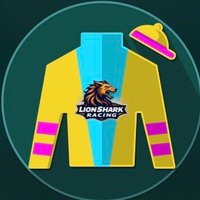 LionSharkRacing (@lionsharkracing) Twitter profile photo