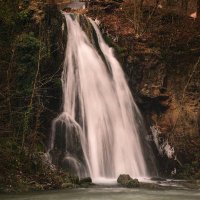 Sam (@ecologyrocks) 's Twitter Profile