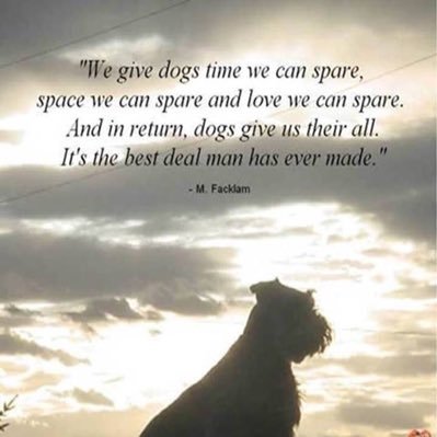 Comet2061's profile picture. If there are no dogs in Heaven, then when I die I want to go where they went - Will Rogers