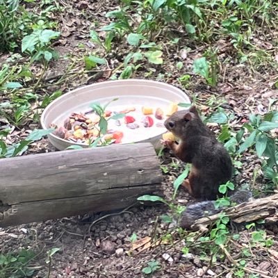 毎日新聞経済部記者。動物・植物・海洋生物好き。くいしんぼう。ツイートは個人の見解です。https://t.co/JXgp2QoRxJ