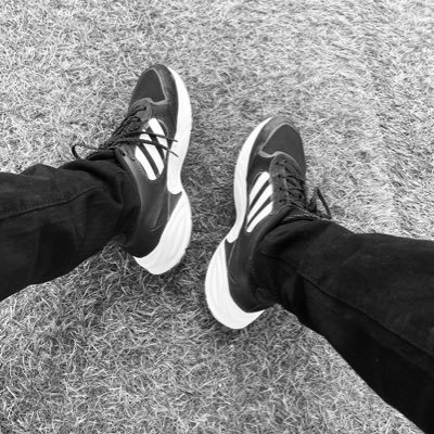 Zeallionalmost's profile picture. You talk you die you don’t talk you die but  it’s all the same  and I ve chooses to yarn