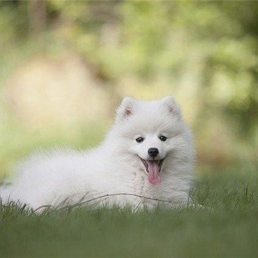 miyu1275873's profile picture. 副業で収入を増やすコツを紹介中。副業を始めたい人にお得な情報を提供。僅かですが現金プレゼント企画も始めました♬ 期間限定➡ https://t.co/0LM8cyZKot