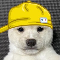 dollarnaire (@lgm_management) 's Twitter Profile