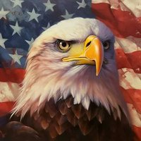 Patriot (@kurtmkrol) 's Twitter Profile