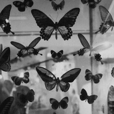 BelenC28981's profile picture. 