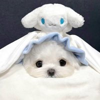 𝐋𝐮𝐥𝐥𝐚𝐛𝐲 (@lul1abe) 's Twitter Profile Photo
