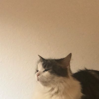 HqsCode's profile picture. ☾