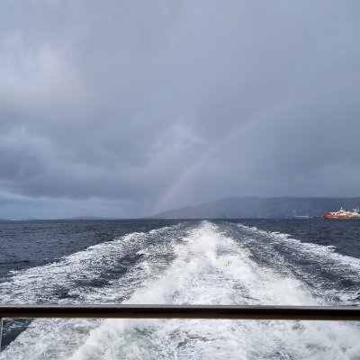 Thalia_OT's profile picture. 