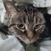 Ennis Lucy ๐ชฝ is editing (@elucywrites) Twitter profile photo Ennis Lucy ๐ชฝ is editing (@elucywrites) Twitter profile photo