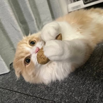 YuLe_010's profile picture. 🌎夏だけのオタクだったはずのオタク📸🔰大体夏秋