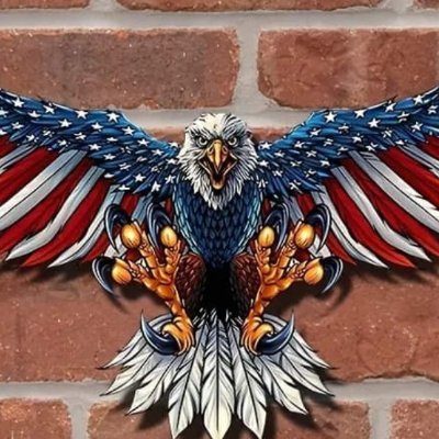 🇺🇲#MAGA #Trump2024 #PatrioticandProud
#GodfirstFamilyoverEverything
#ProtectOur2ndAmendment #BackTheBlue