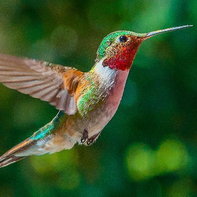 emmartinezmx's profile picture. 