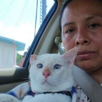 Dulce Santos (@dulce8417) 's Twitter Profile Photo