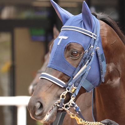 R_daily_hobbies's profile picture. 野球見たり、競馬やったり、出資馬の走りに一喜一憂したり、艦船模型やガンプラ作ったりしています。
撮った写真をアップしたりもしています。 
シルク出資馬：ドゥラモンド・アイスグリーン・エストレヤデベレン・インターアーバン・ジェイストリーク
お気軽にフォローしてください。