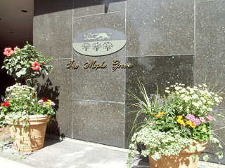 1501Maple's profile picture. Located in the heart of downtown Evanston, Maple Grove is the perfect place to call home. Shopping, restaurants, nightlife & cultural attractions are steps away