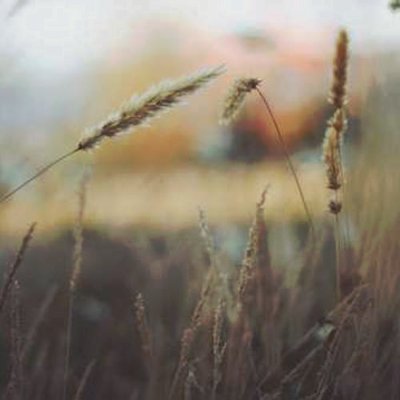 tostanoski24611's profile picture. 