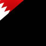 Shawqi Radi 23 years old
 University student - Bahrain
 Arrested sence 26 April 2011
 شوقي رضي - 23 عام - طالب جامعي - البحرين
 معتقل منذ 26 أبريل 2011