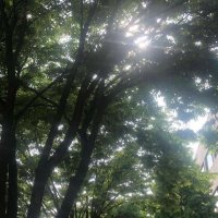 이빨공주 (@ppippobbibbo) 's Twitter Profile