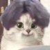 Bi8bo（必回关100%） (@bi8bo1207) Twitter profile photo