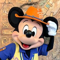 あい✩︎⡱ (@ai_mickey11) 's Twitter Profile