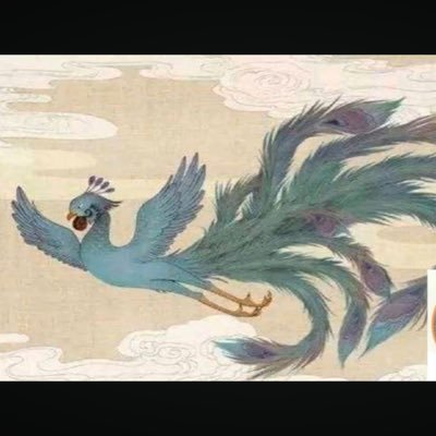 直感だけで生きてます。