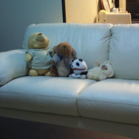 silverado0707's profile picture. いぬのきもち