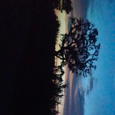 hunter_gam63700's profile picture. 