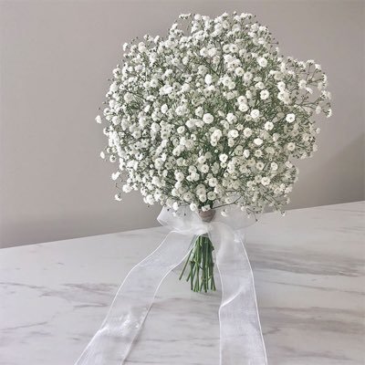 baby_breath_712's profile picture. 2025/1月予定baby👶🏻🎀                                 papa(25)mama(20)