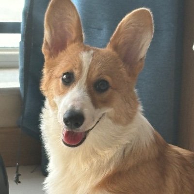 seho20001123's profile picture. Front-end full-stack developer, open source enthusiast, currently learning Rust, blog: https://t.co/hjBc4x1K0w