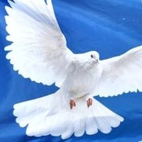 Bibi 💙 (@bibi1677382) 's Twitter Profile Photo Bibi 💙 (@bibi1677382) 's Twitter Profile Photo