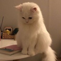 tag (@958547516tm) Twitter profile photo