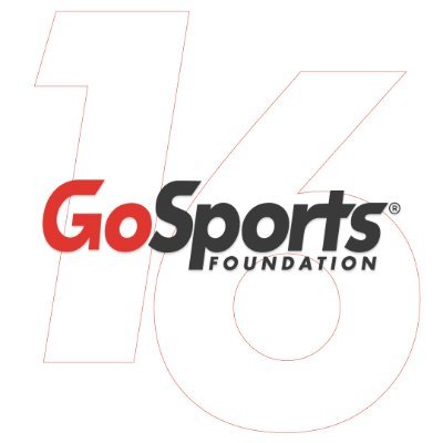 GoSports Foundation is focused on injecting professionalism & positivity into the Indian sports environment