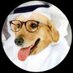 قصة الطاغية الكلب(الدجال) (@altawheedbook) Twitter profile photo قصة الطاغية الكلب(الدجال) (@altawheedbook) Twitter profile photo