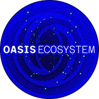Oasis Ecosystem 🏝 (@newonoasis) 's Twitter Profile Photo Oasis Ecosystem 🏝 (@newonoasis) 's Twitter Profile Photo