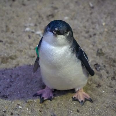 魂がハデスに赴くにあたってたずさえていくものは、ただ教養と自分で養った性格だけであり、これらのものこそが死出の旅路の始めからすぐに死者を益し害すると言われている