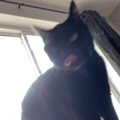 Fallingscroll's profile picture. 19