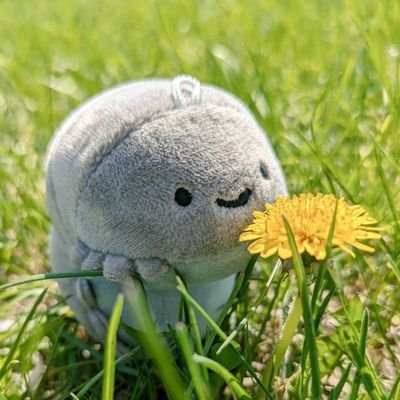 にっこりーノをこよなく愛するオルゴナイト作家です🤭
にっこりーノにハマりすぎてちっとも仕事が捗りません。
『まじめにふざける』をモットーに🤗❗
第1回、第2回フォトコンテスト にっこりーノ賞🥉🥉
イラストコンテスト グランプリ🥇
日ハムファン⚾ 新庄監督💙
大相撲、宇良推し🩷