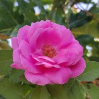 علي (@alihamed097) 's Twitter Profile Photo