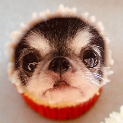 金平糖さんのプロフィール画像
