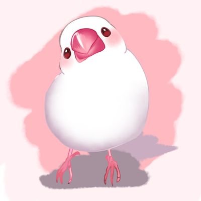 20年3月生まれのハクと2人暮らししています☺ トプ画は @piyo_piyo_0302 さんから🕊 飼い主メンタル不調のため通知OFF&お返事出来ないかもしれません