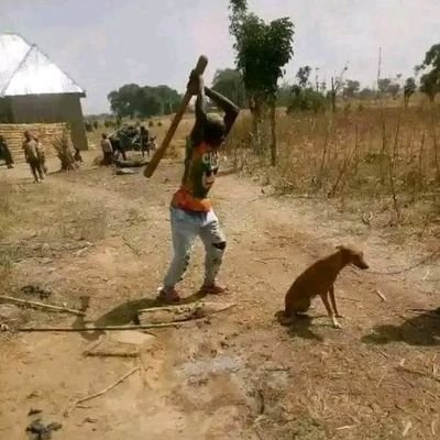 Mushi8536's profile picture. 🍺🍻🍻