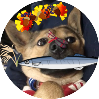 ｶ-ﾁｬ ver.1.5 犬オスカ (@coco_dake666) 's Twitter Profile