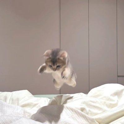 _maru2maru__'s profile picture. ②(まるに) /‘99 / 𝘉𝘜𝘔𝘗 𝘖𝘍 𝘊𝘏𝘐𝘊𝘒𝘌𝘕と花海咲季