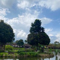 N⚖️ (@norahalakkas) 's Twitter Profile Photo