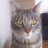 RosaGabarro's profile image